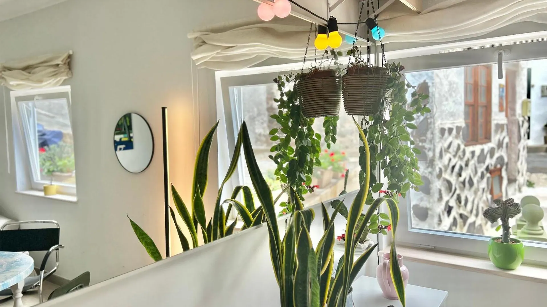 Apartamento Perro Y Osito Garachico  Garachico (Tenerife)