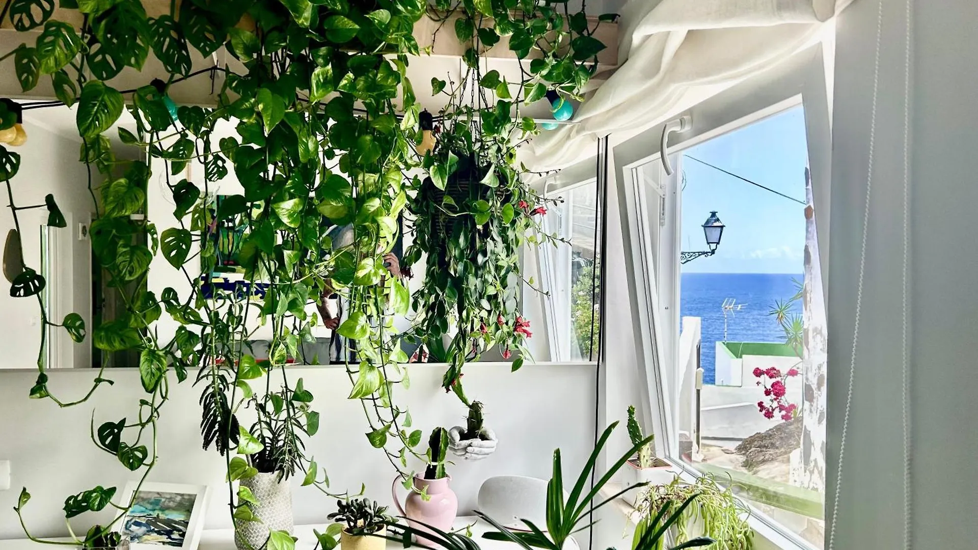Apartamento Perro Y Osito Garachico  Habitación en casa particular Garachico (Tenerife)
