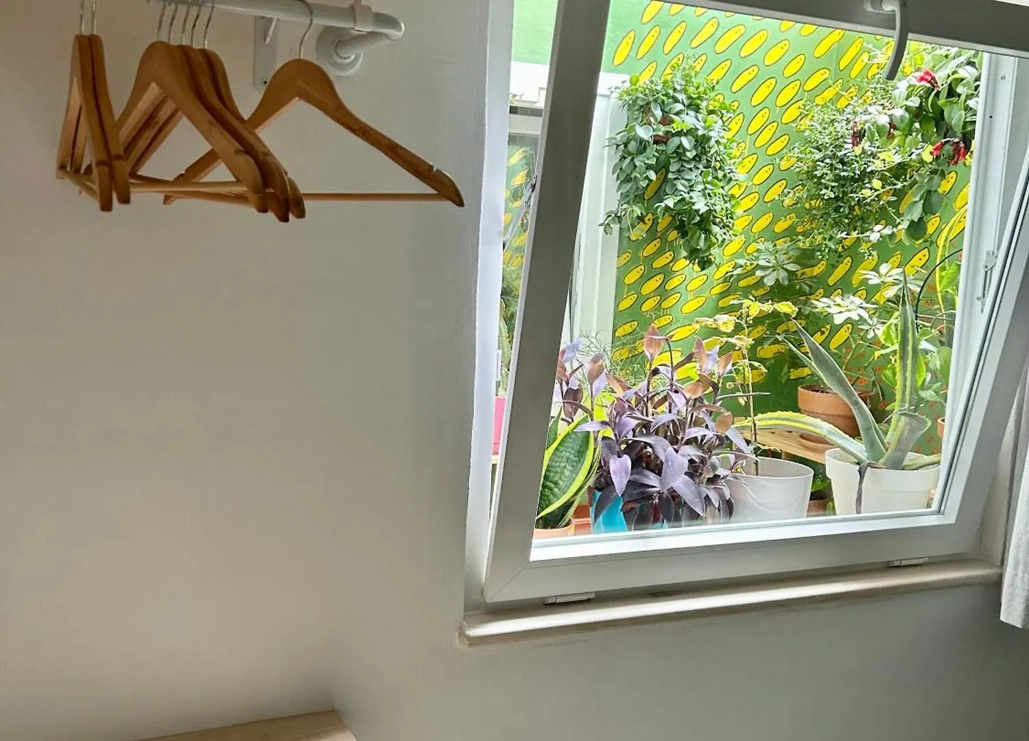 Apartamento Perro Y Osito Garachico  0*, Garachico (Tenerife) España
