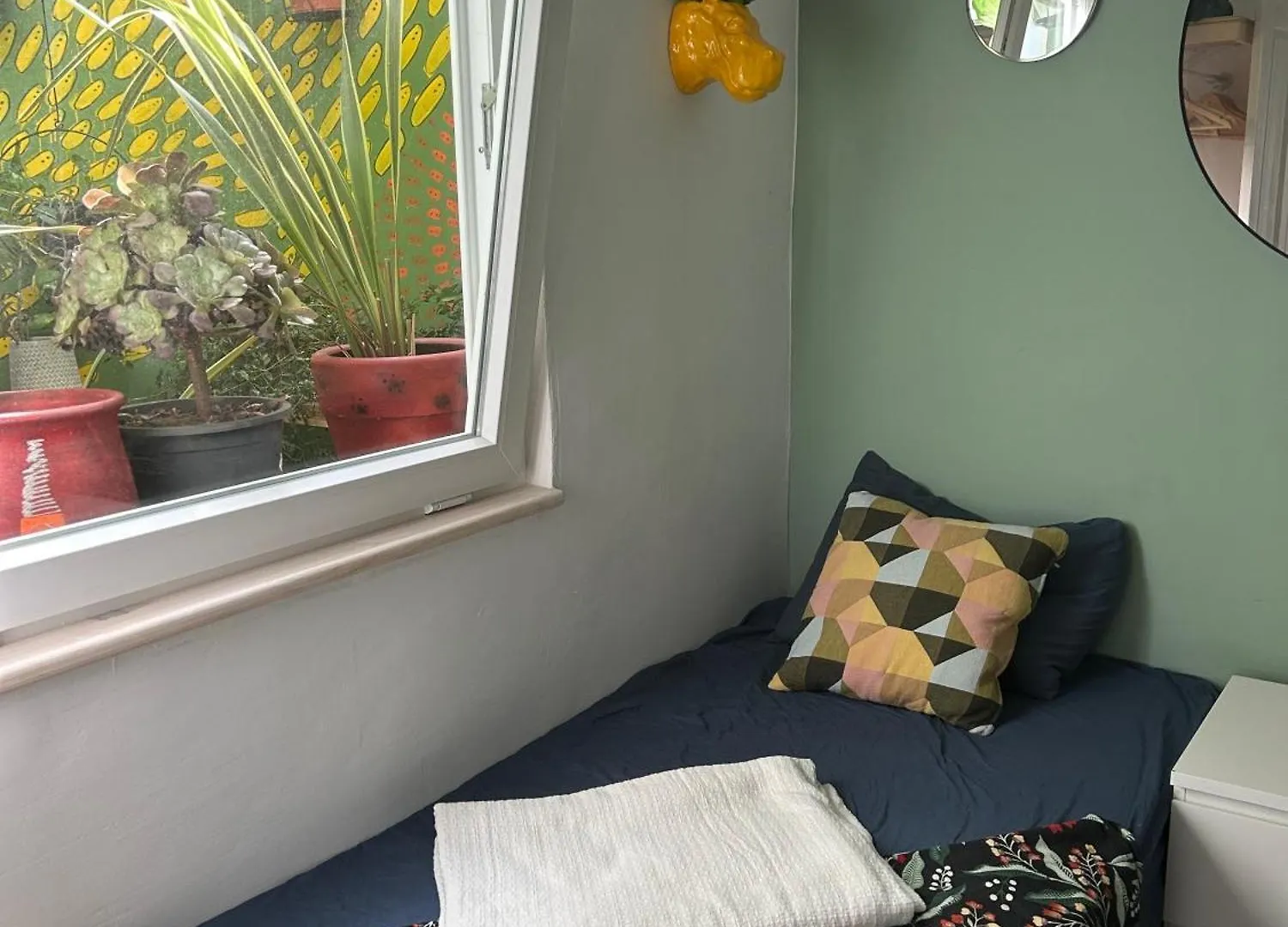 Apartamento Perro Y Osito Garachico  Habitación en casa particular