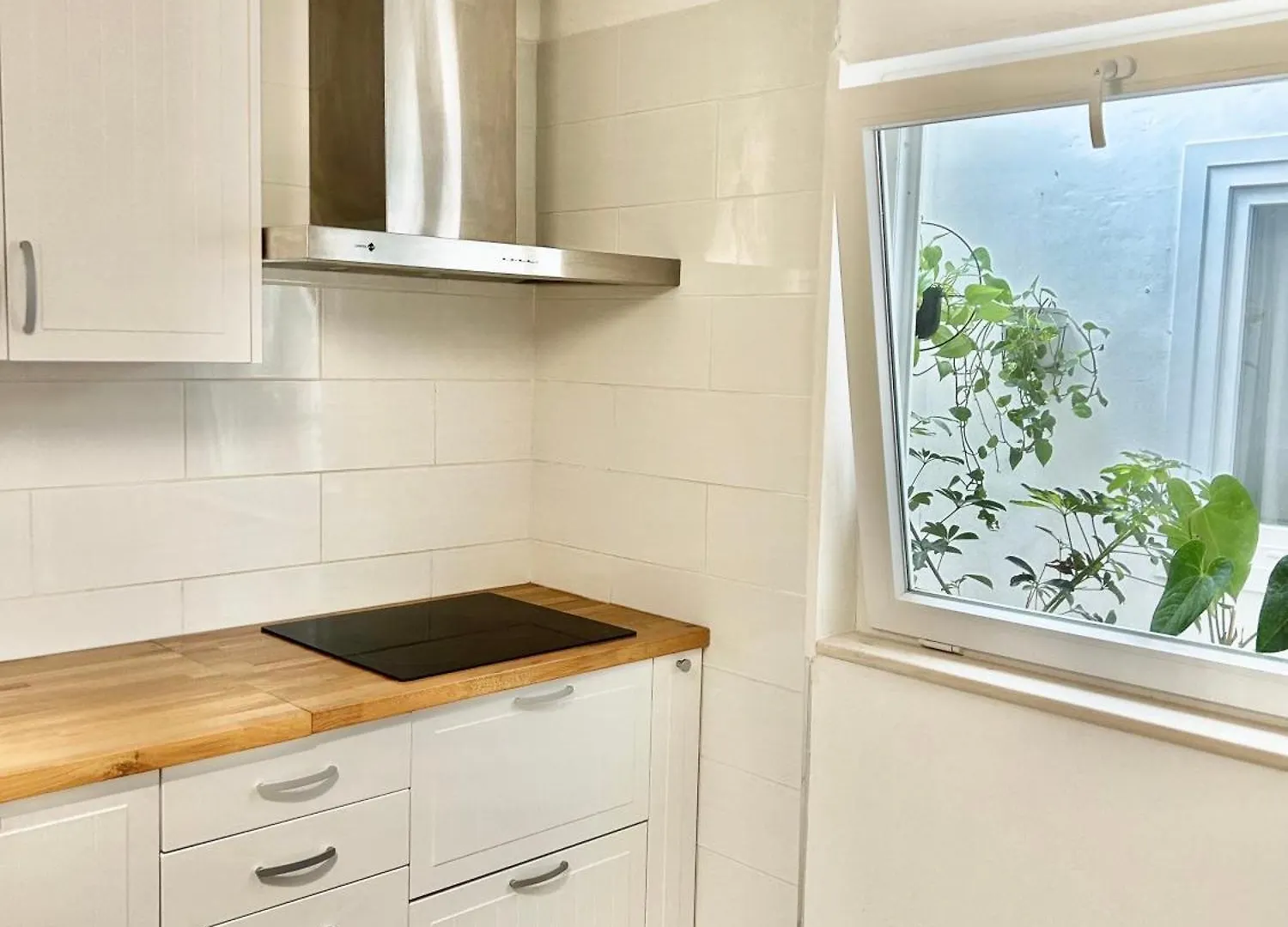 Apartamento Perro Y Osito Garachico  España