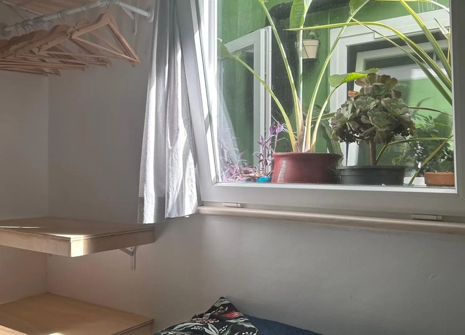Apartamento Perro Y Osito Garachico  España